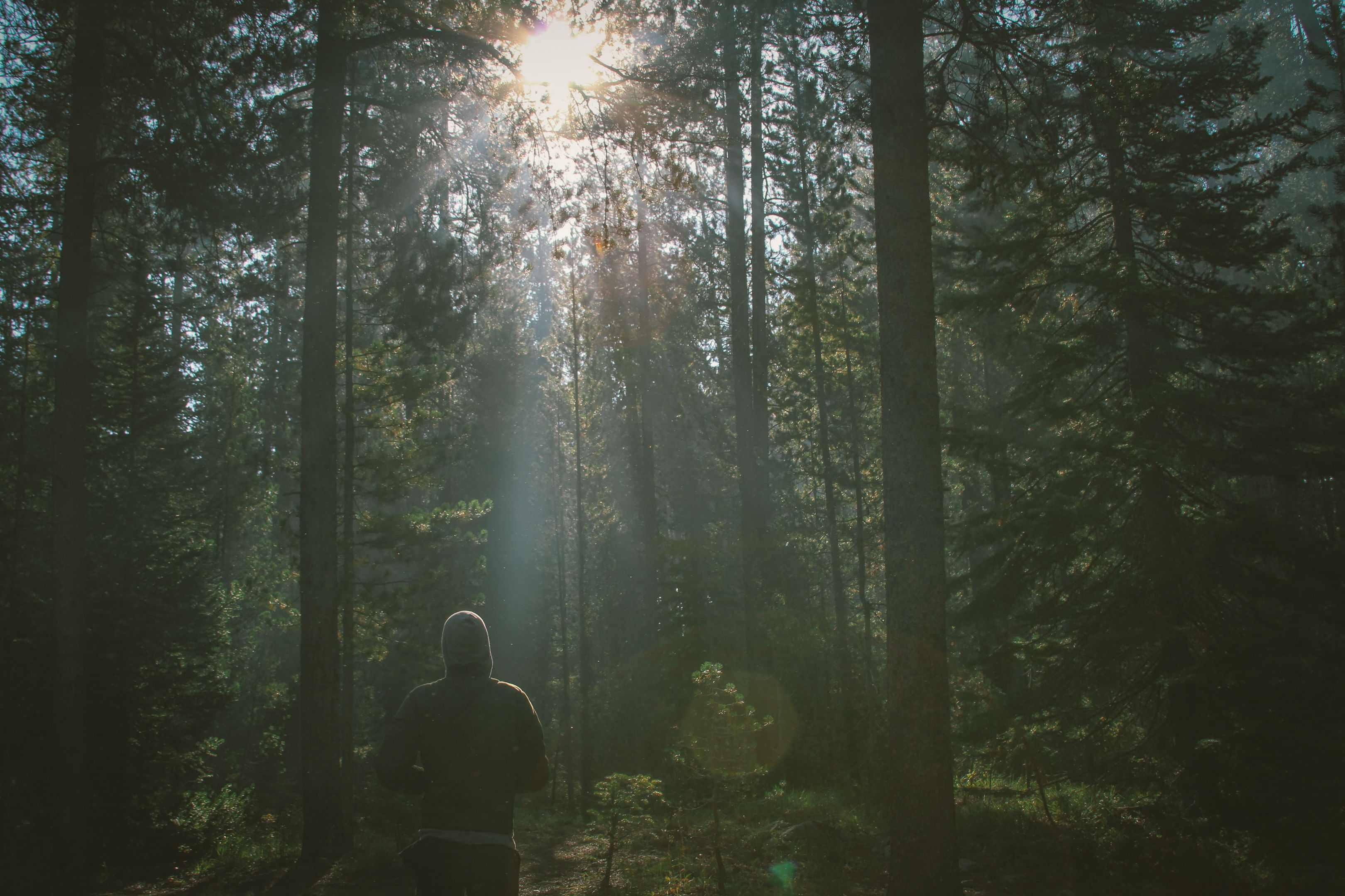 Solitude in nature