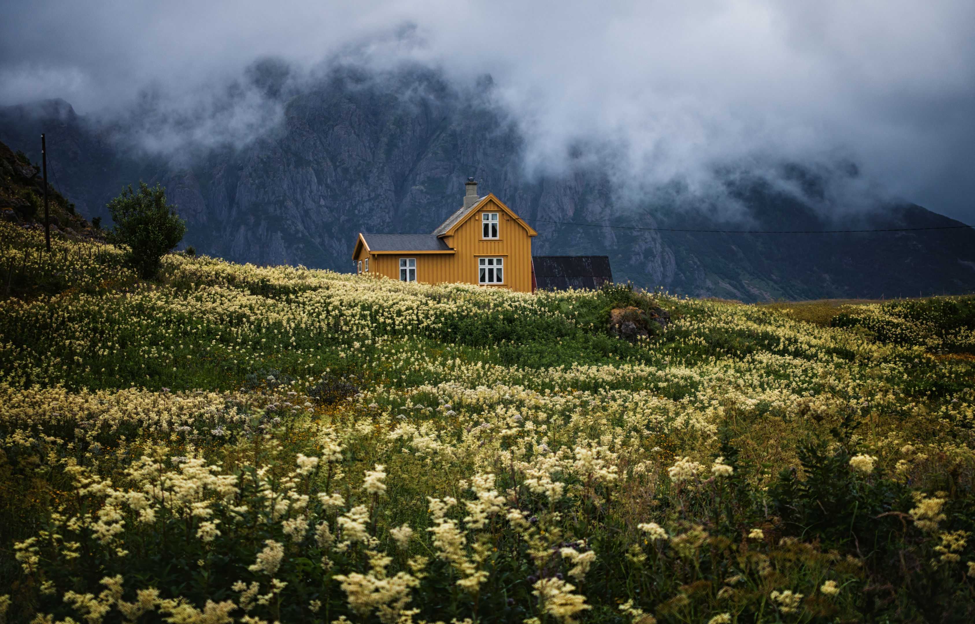 Cozy mountain location